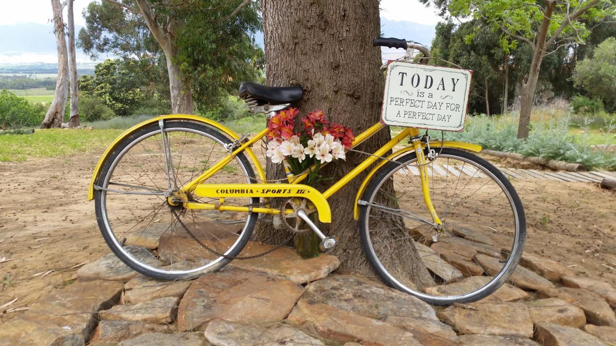 Oudekloof Wine Estate Tulbagh